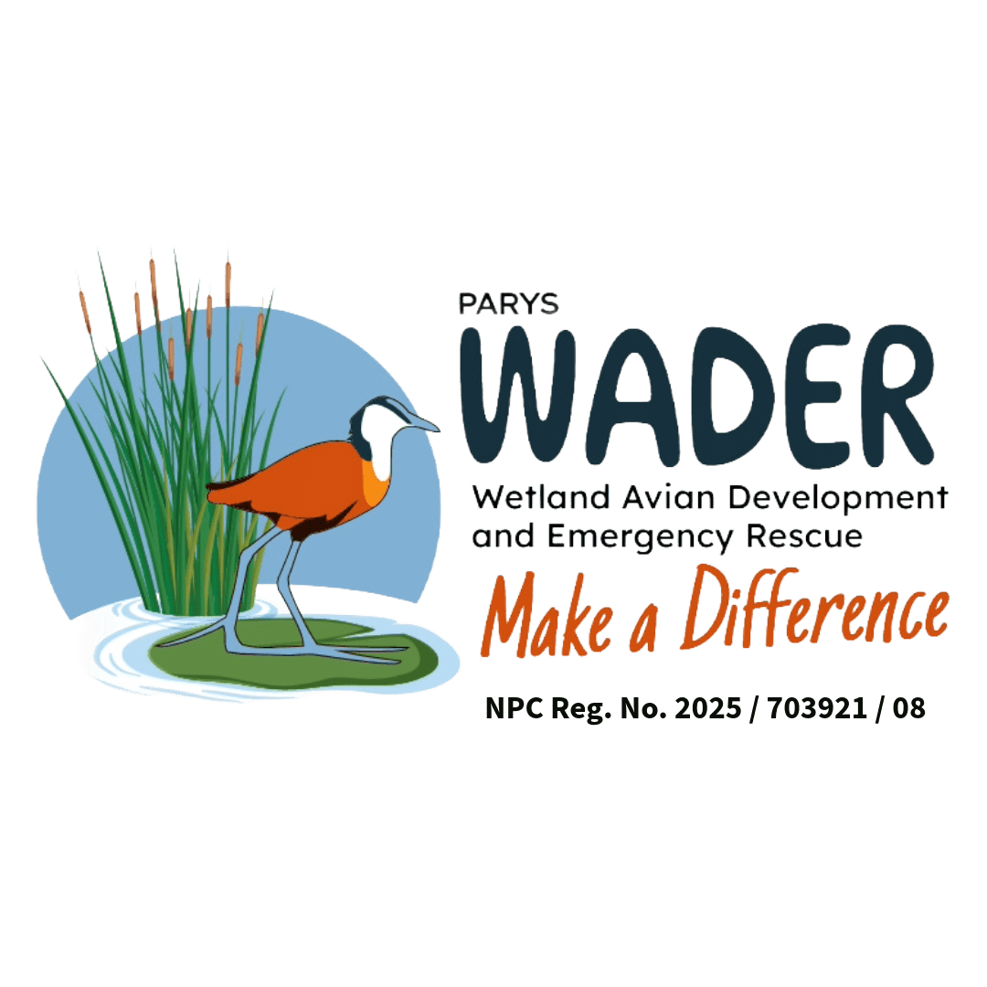 WADER logo low res transparent